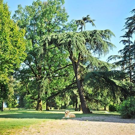 Clos Saint-Blaise アルビ エクステリア 写真