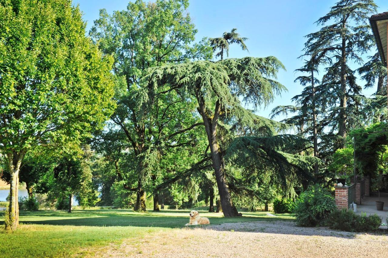 Clos Saint-Blaise アルビ エクステリア 写真